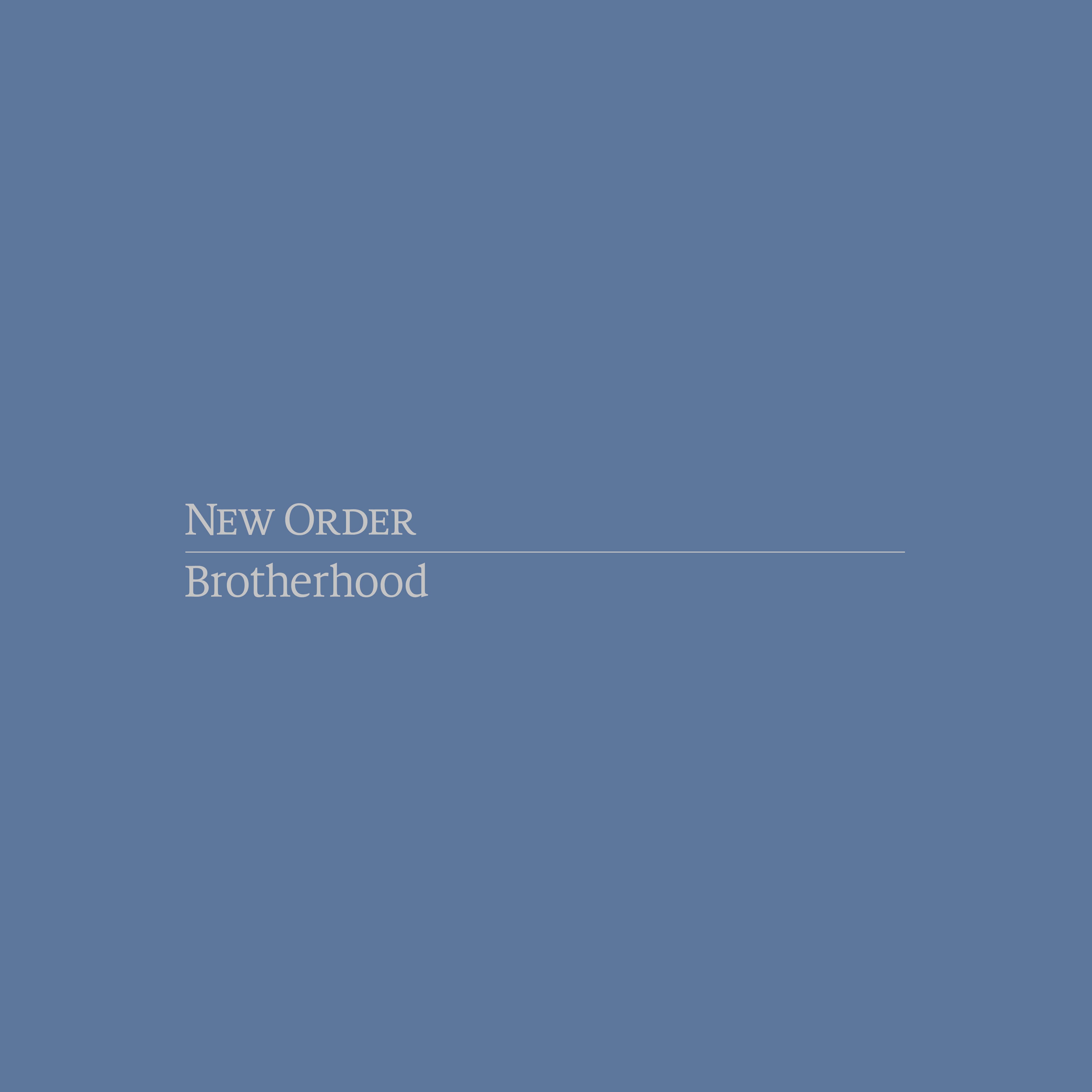 洋楽 LP New Order / Brotherhood Brotherhood (1LP) | New Order