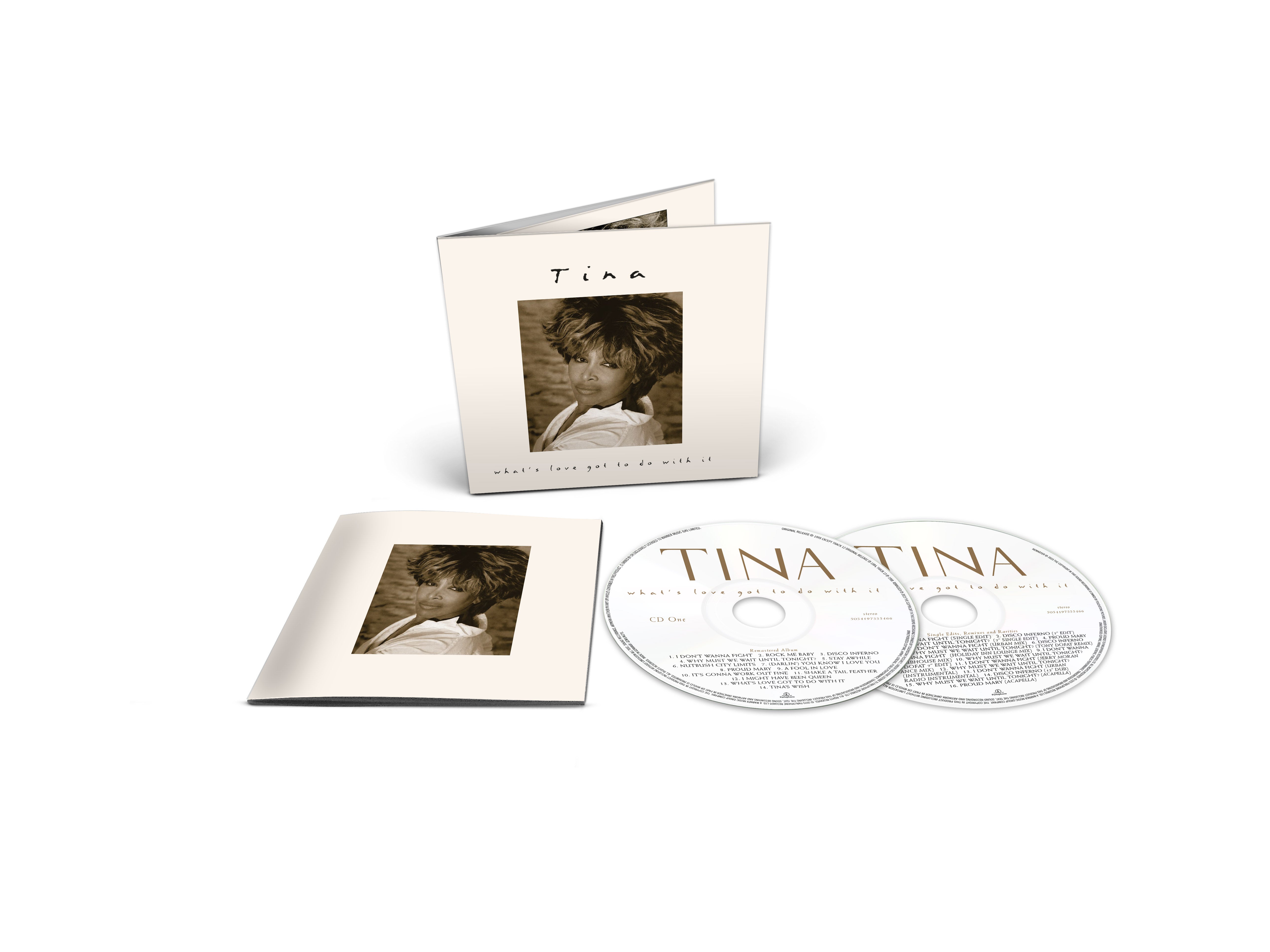 Tina Turner Why Must We Wait Until Tonight? 8cm CD シングル